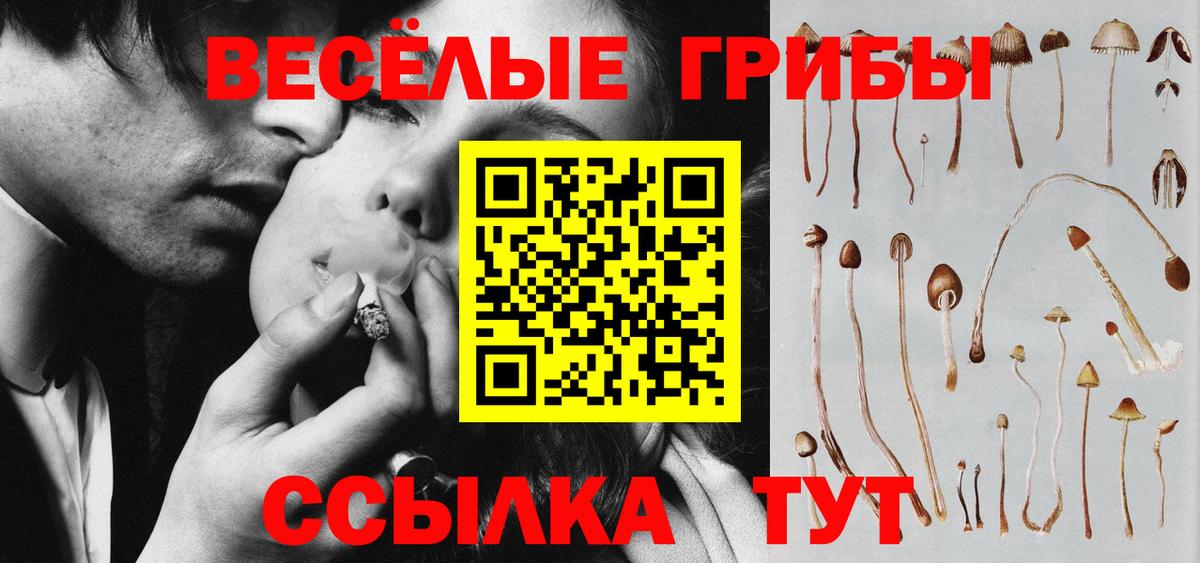 Псилоцибиновые грибы MAGIC MUSHROOMS  Вход с VPN  Семилуки 